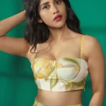 Nabha Natesh